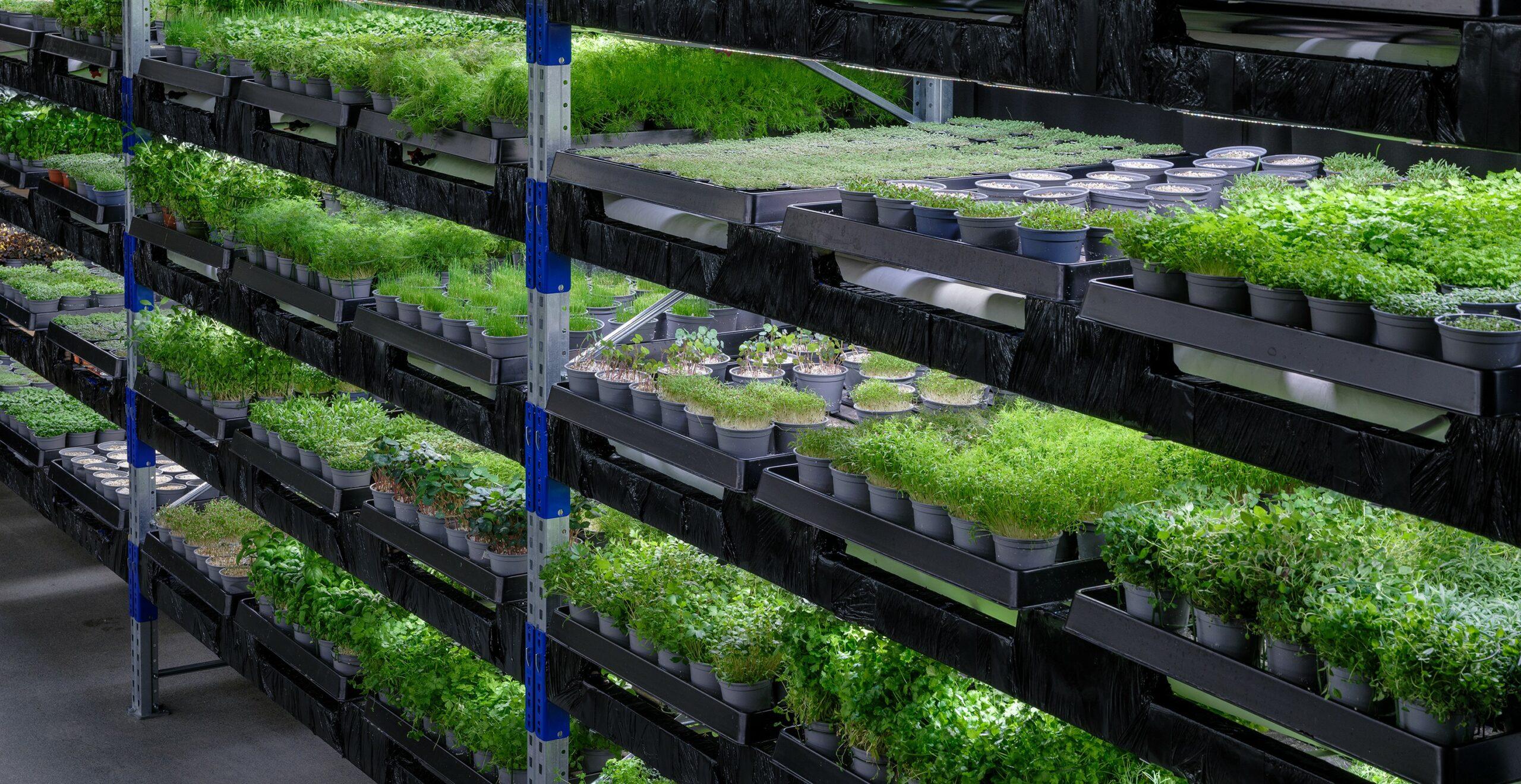 Planttechh